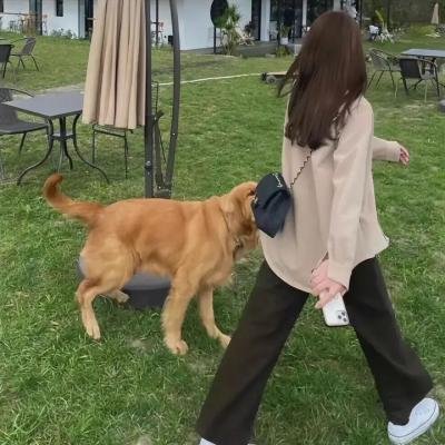 黄大妮
